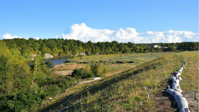Open field with vegetation 