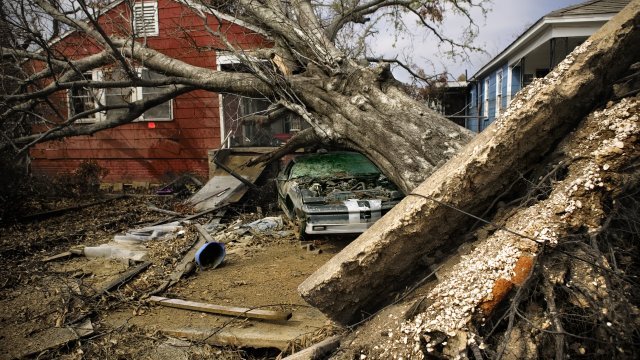 picture of disaster debris, like trees felled by strong winds adorning the yard in front of a house