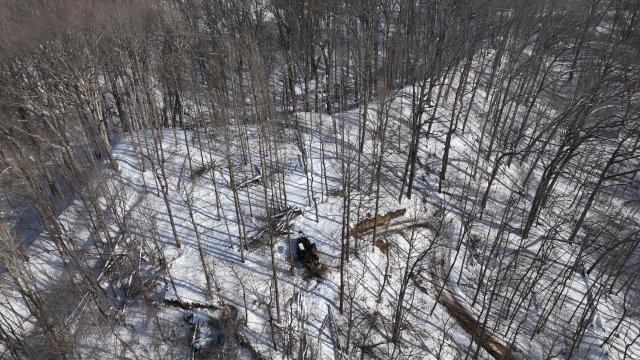 An aerial view of a forest with bare trees. The forest floor is covered in white snow and long shadows of the trees. A piece of black construction equipment can be seen collecting samples of dark brown soil among the snow.