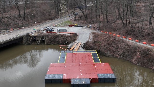 A red and black platform floats on top of greenish-brown river water. In the background is an asphalt road surrounded by bare trees and ground covered in brown leaves.