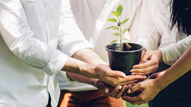 Hands holding a potted plant