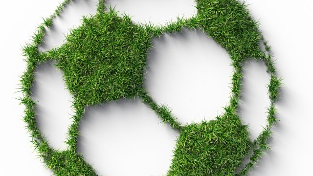soccer ball formed by grass
