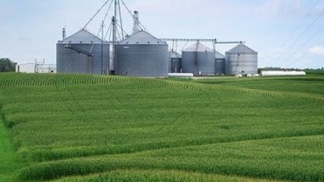 Grain silo and field