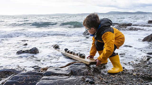 Child playing at water's edge on a beach with small rocks lined up on a piece of driftwood.