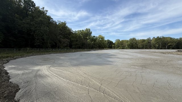A ground-level view of a field of wet, gray-brown soil. Green trees and a blue sky with white clouds fill the background.