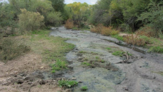 Pooling of sewage begins to be observable. Photo taken southeast of railroad tracks, the northwest of San Carlos River Basin.