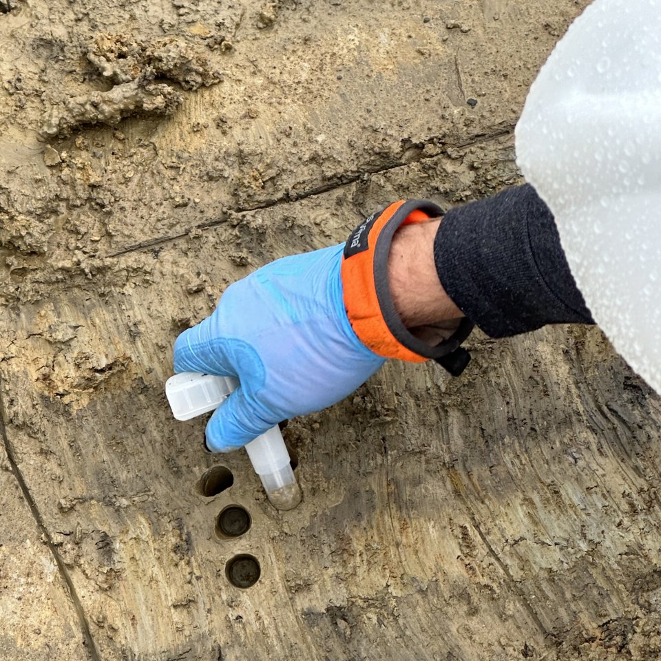 hand reaching down to collect soil samples