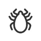 tick