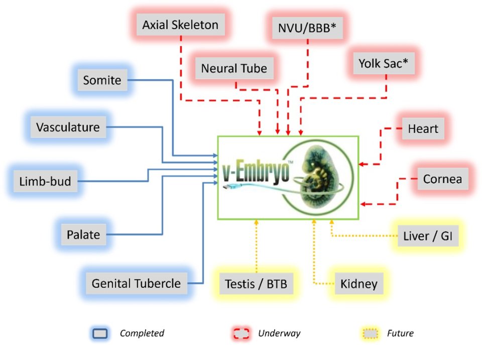 Completed models: somite, vasculature, limb-bud, palate, genital tubercle. Development underway: axial skeleton, neural tube, NVU/BBB, yolk sac, heart, cornea. Future: testis/BTB, kidney, liver/GI.