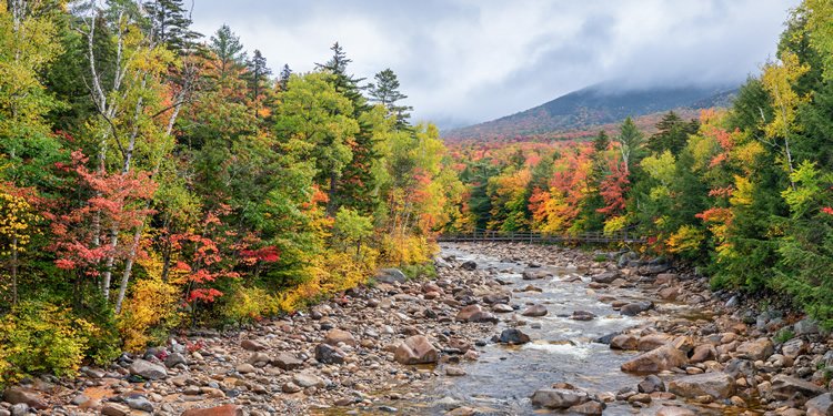 Autumn at Lincoln Woods on the Kancamagus Highway in the White Mountains of New Hampshire