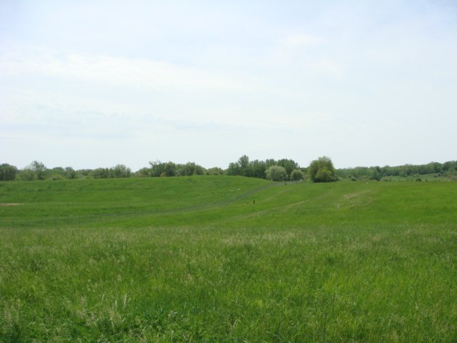 Current landscape of US Ecology - green grassy hills