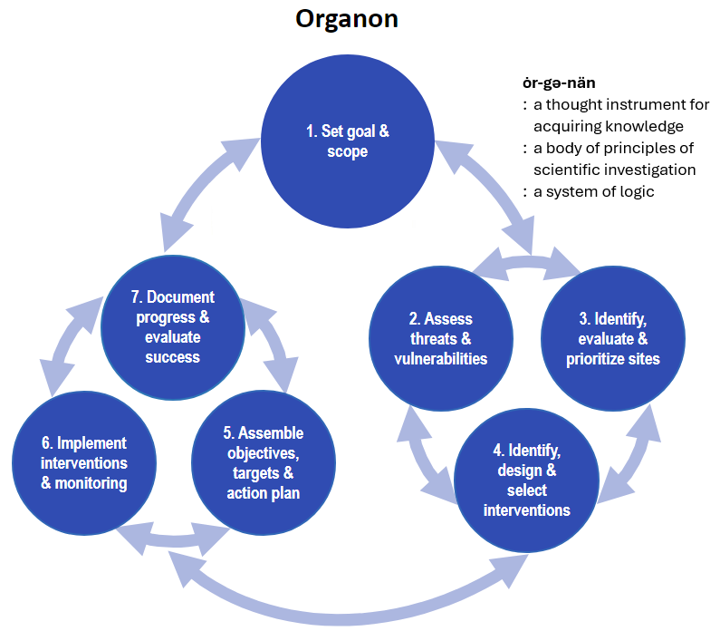 Adaptation Organon: a seven-step cycle showing key components of resilience-based planning.