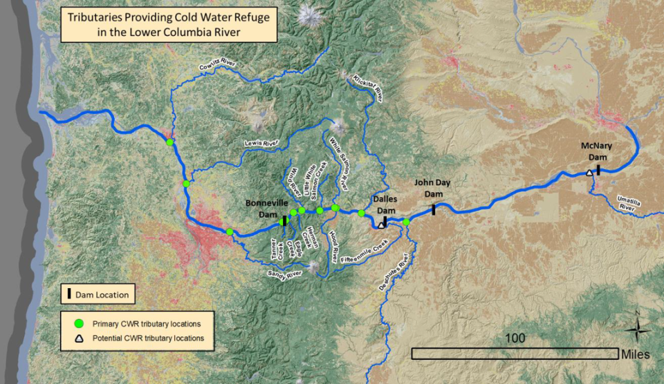 Primary and potential tributaries for focus as Cold Water Refuges are marked along a map of the Columbia River Watershed.