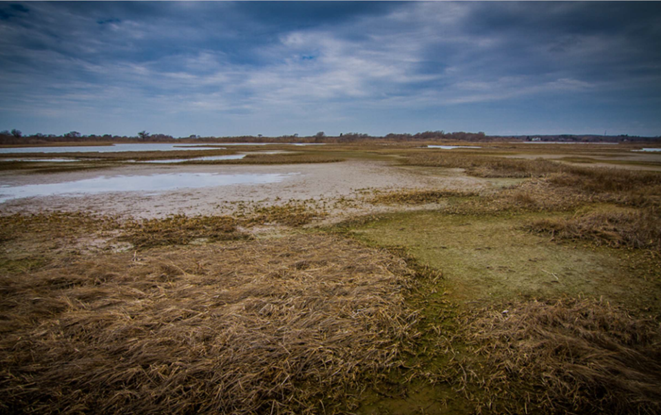 Partial view of Ninigret study area showing areas of marsh die-off due to inundation stress.