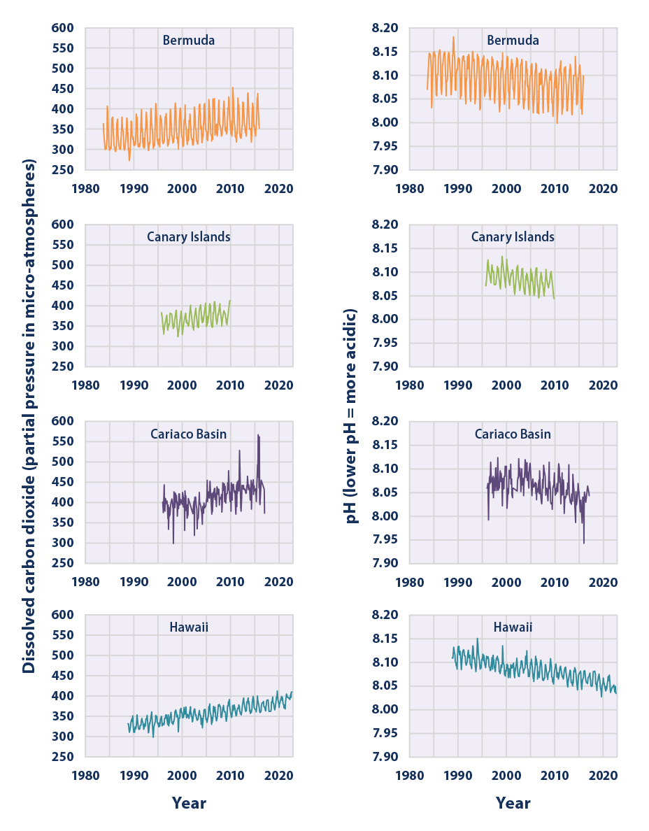 Line graphs showing levels of dissolved carbon dioxide and pH measurements at three ocean stations from 1983 to 2022.