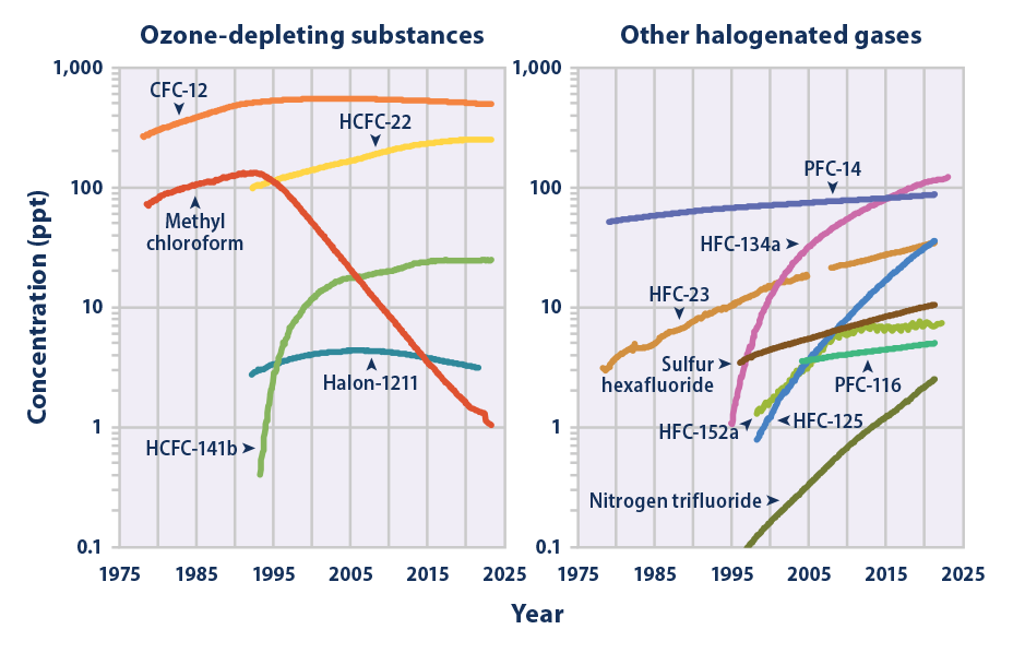 Line graph showing concentrations of various halogenated gases in the atmosphere from 1978 to 2022