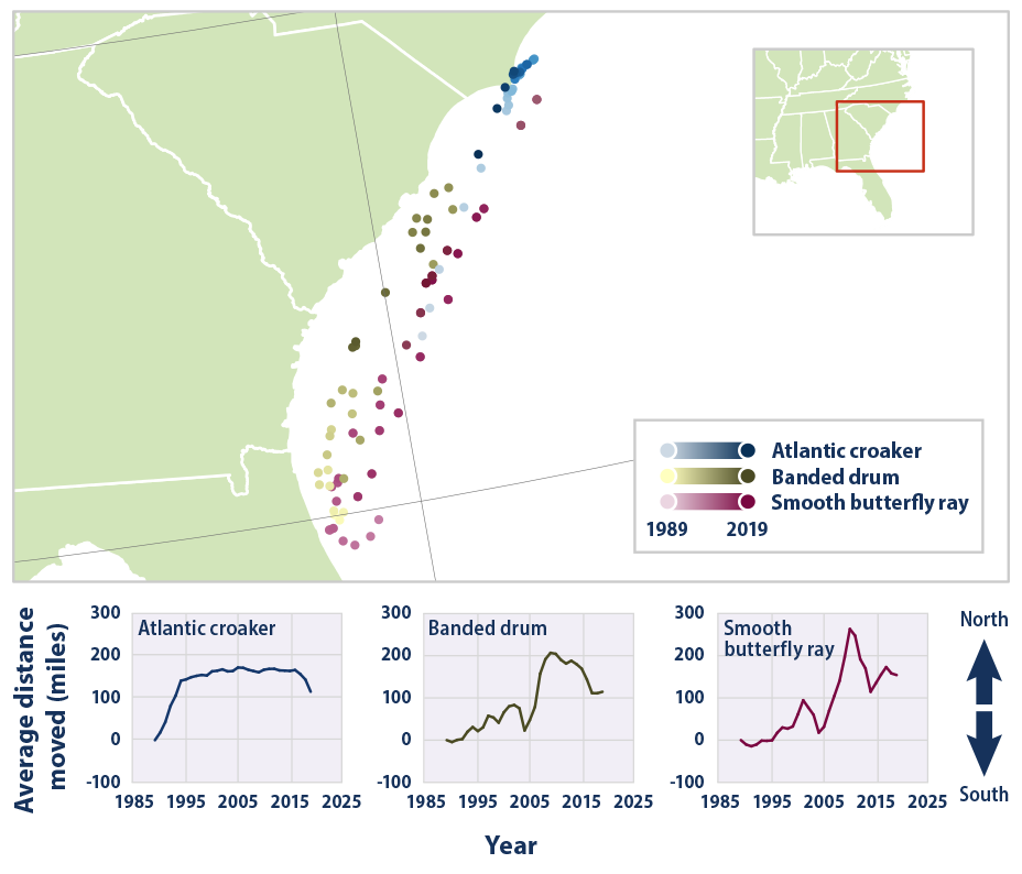 Map and line graphs showing the average location of three fish species in the Southeast from 1989 to 2019.