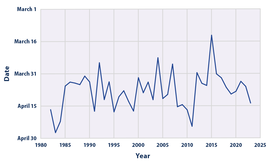 Line graph showing the average date of peak annual snowpack across western U.S. measurement sites from 1982 to 2023.