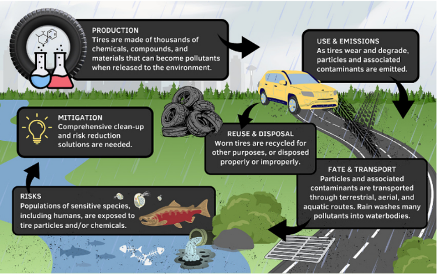 A graphic following the lifecycle of a tire, which includes the following steps: production, use and emissions, reuse and disposal, fate and transport, risks, and mitigation.