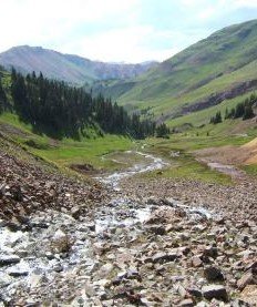decorative image of mountain view with creek