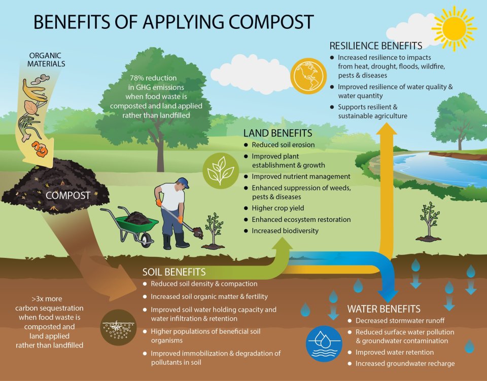 an infographic showcasing the different benefits of applying compost to soil