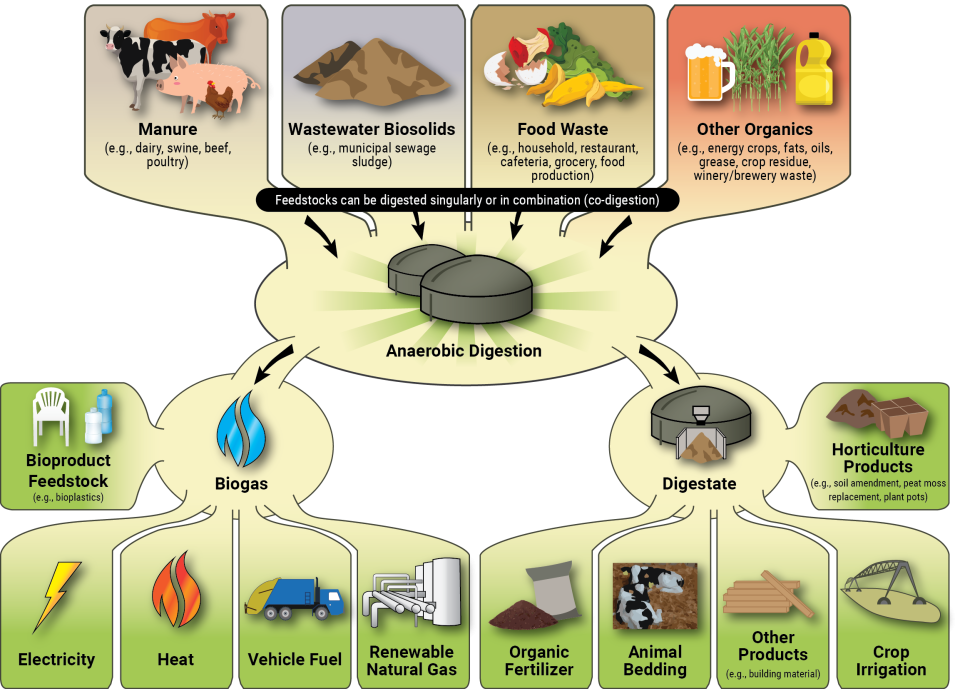 Diagram showing what feedstocks can be used to create biogas and digestate, and what further products those can be turned into.