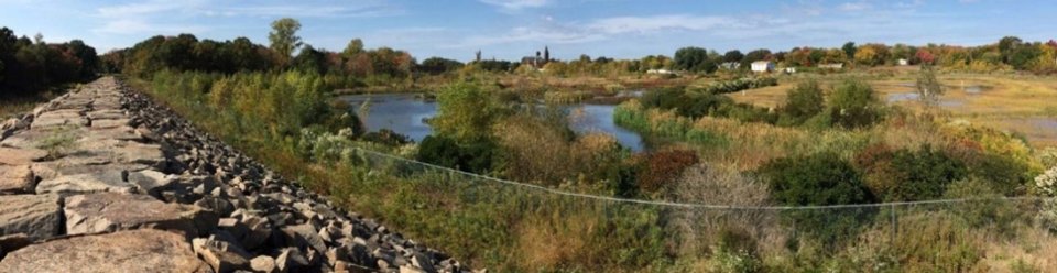 A photograph of restored wetlands and a saltwater marsh, with a rock pathway on the left.