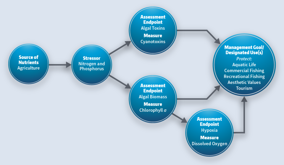 Example conceptual model depicting pathways through which nutrients may impact aquatic systems. 