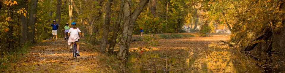 Image shows a bike trail in the woods that goes around a small body of water. There are three people riding bicycles away from the camera.