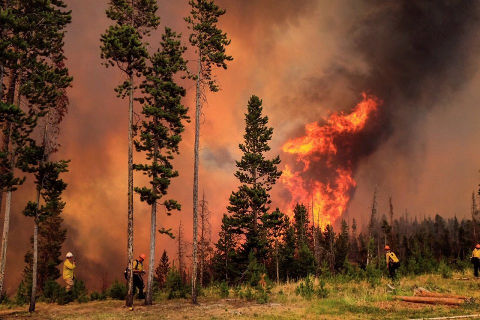 Hotshots doing structure protection on the Lava Mountain Fire