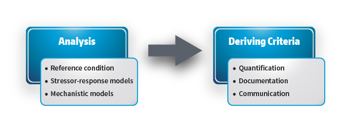 A diagram of the process of estimating nutrient conditions.