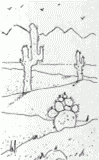 Landscape with cacti.