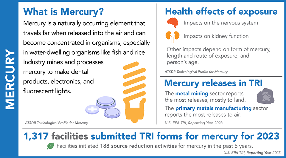 TRINA Chemical Profile: Mercury