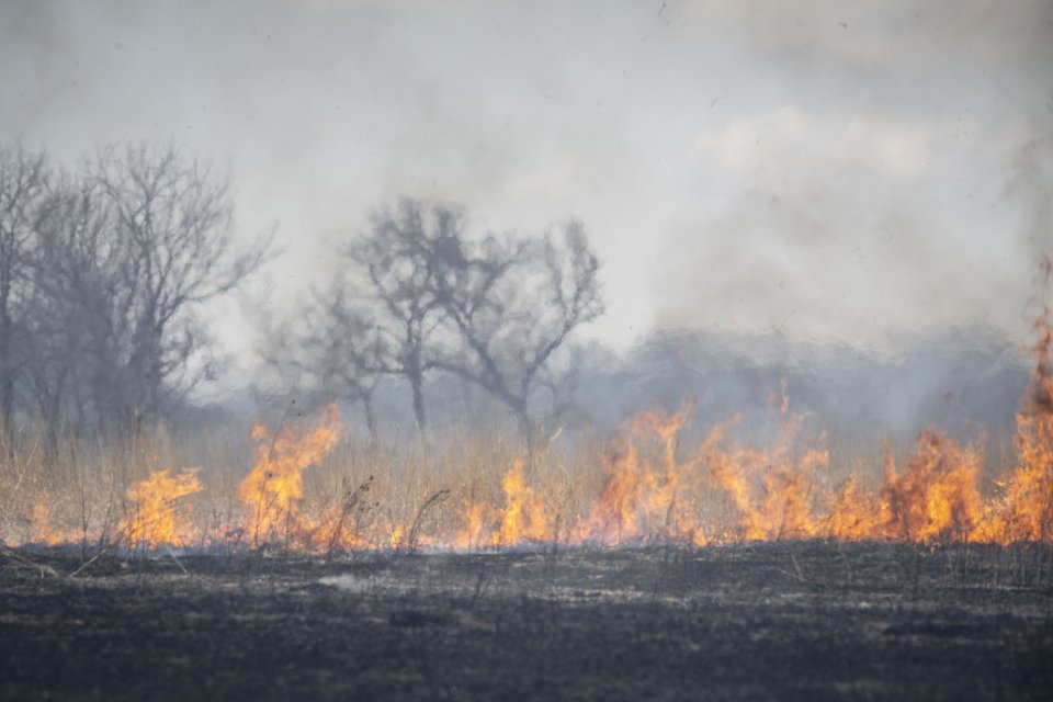 A prescribed burn in the fields of the Konza Prairie Biological Station of Kansas. (Photo Credit: U.S. EPA)