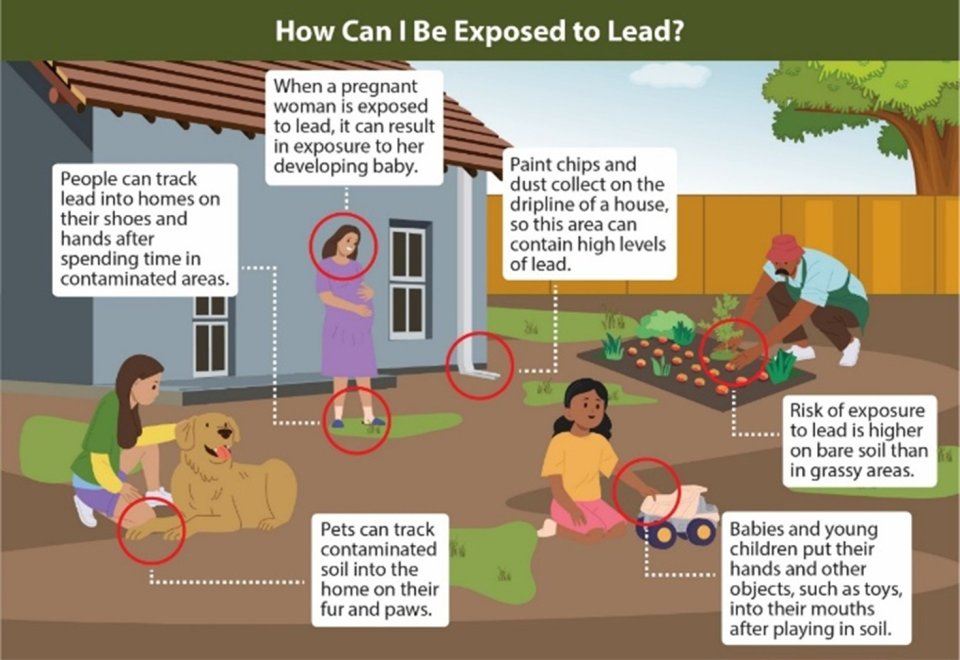 Infographic details different exposure pathways from lead in soil, including pets tracking contaminated soil on their paws, people tracking lead on their shoes, paint chips and dust collecting in the dripline of a house, and children playing with toys  after playing in soil.