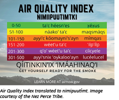 the AirNow Flag Program poster