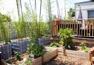 Two raised bed gardens in a backyard.