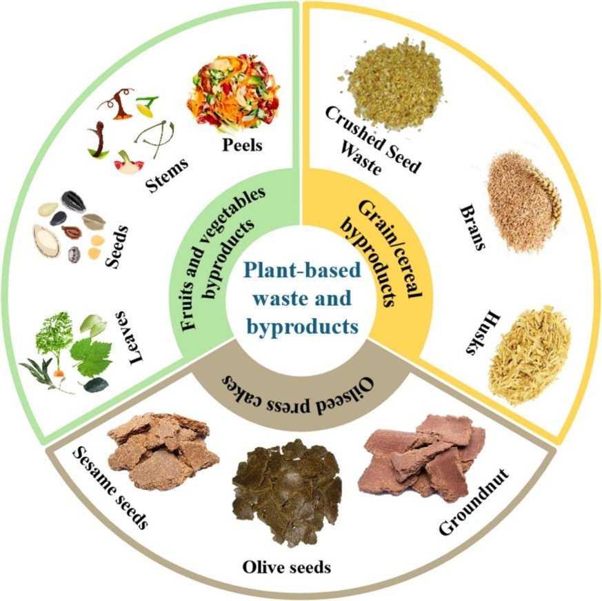 photo showing how to transform plant-based waste and by-products into valuable products using various technologies