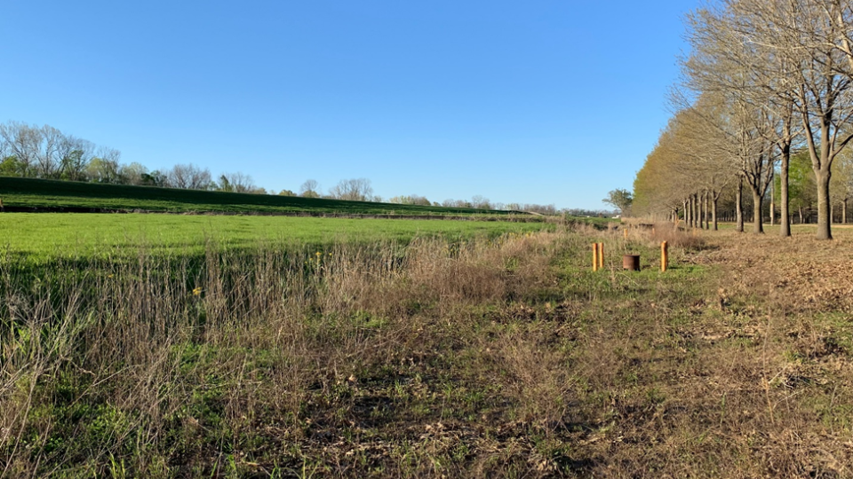 A grassy meadow with a row of trees to the right side. A relief well is surrounded by yellow bollards.