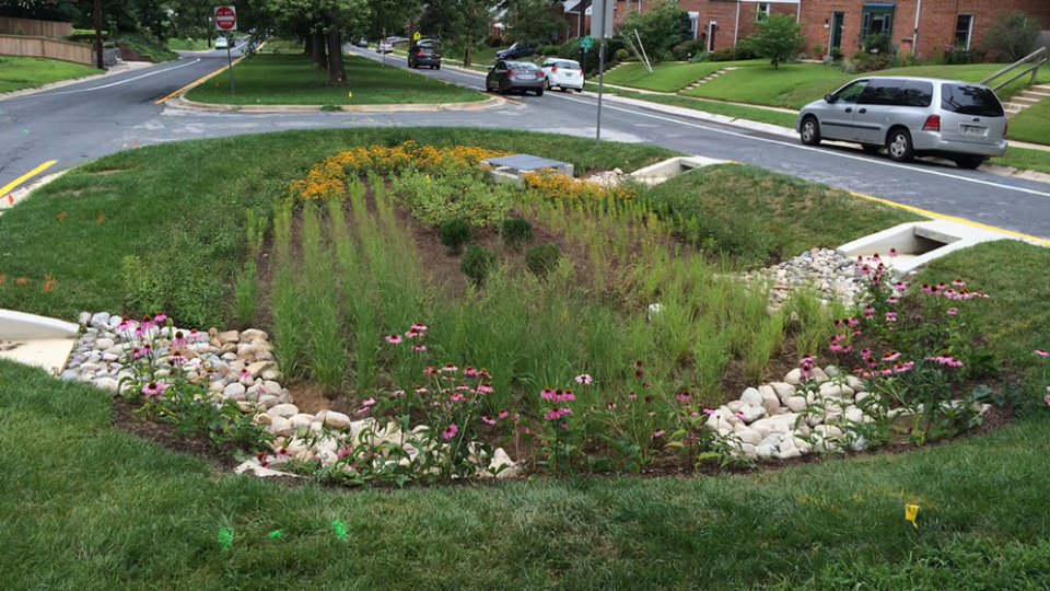 Bioretention