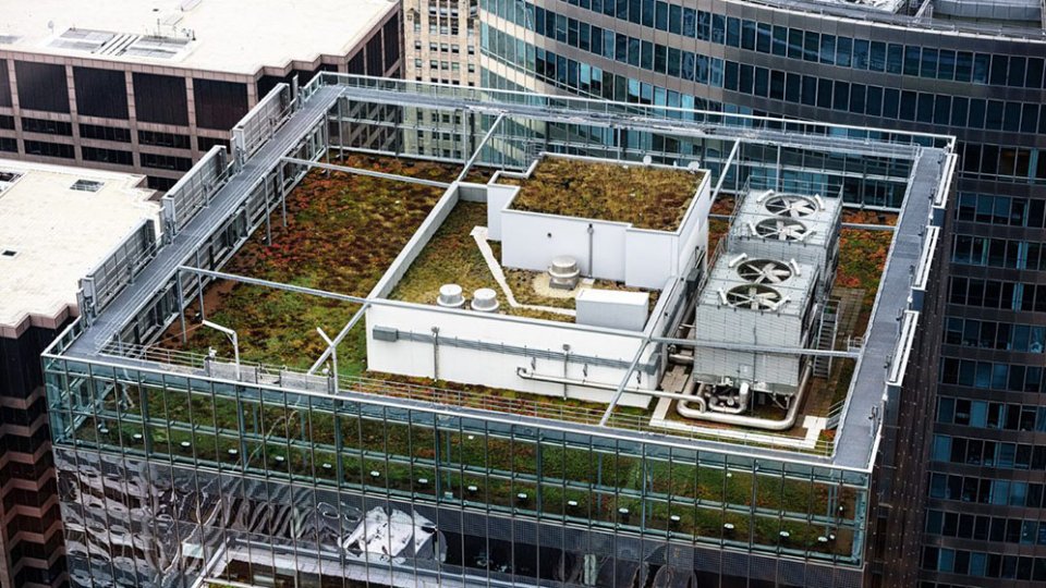 Green Roofs