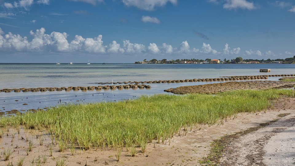 Living Shorelines