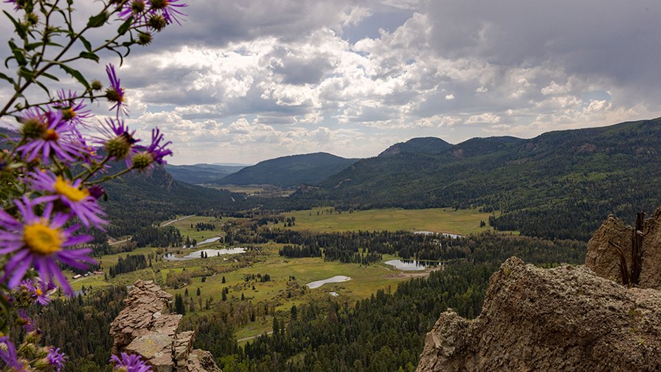 Bonita Peak Mining District scenic overlook
