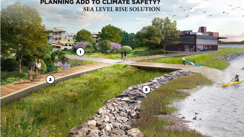 Image showing clean contaminants and shoreline protection with nature-based solutions.