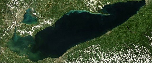 Photo credit: NOAA Caption: European Space Agency (ESA) Envisat satellite image taken on Oct. 8, 2011, using its MERIS sensor, showing harmful algal bloom in the western basin of Lake Erie. 