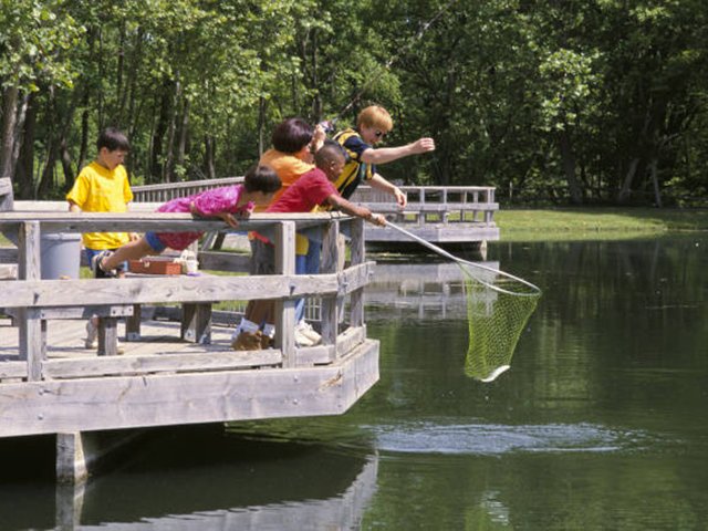 Children fishing