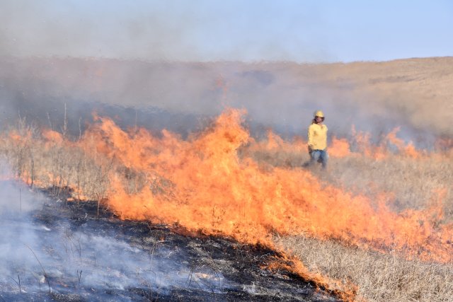 a person monitors an ongoing wildfire