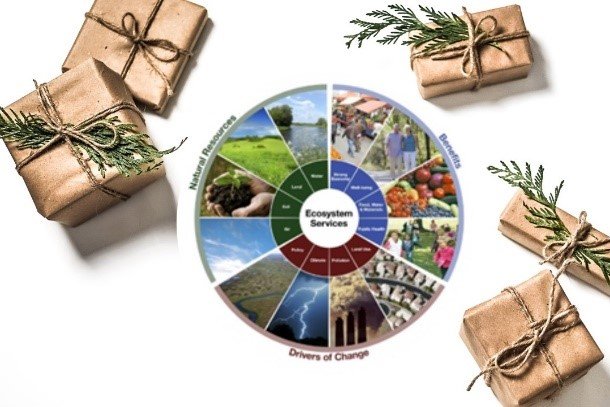 Ecosystem goods and services with gifts