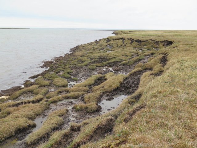 A photo of a coastline in Alaska on a cloudy day. Water is meeting grassy land. The land gradually slumps and is overcome by the coast, from right to left. In between the solid coast and the water, there is muddy land interspersed with water. One can imagine the solid land being overtaken by the sea eventually, once the in-between parts are eroded away. 