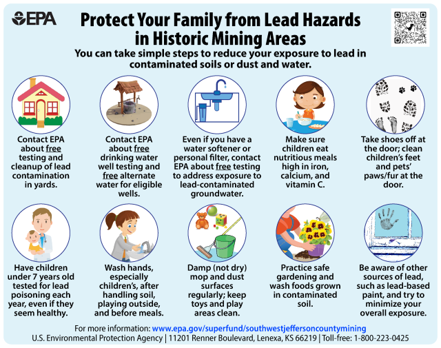 Lead safety infographic